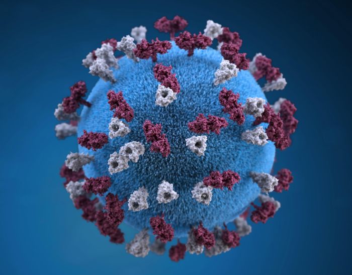  Virus cúm A có thể là nguyên nhân cho sự bùng phát dịch năm nay. Ảnh minh họa: CDC. 