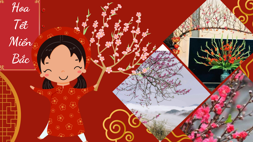 A collage of images of a child holding a treeDescription automatically generated